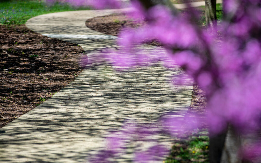 Flowers walkway